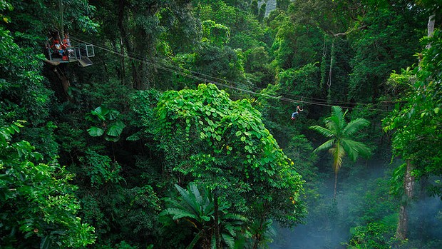 Rainforest_729-620x349